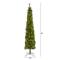 7ft. Pre-Lit Green Artificial Christmas Tree, Clear LED Lights